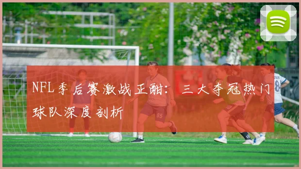 NFL季后赛激战正酣：三大夺冠热门球队深度剖析